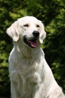 /album/fotogalerie/a023-jpg2/