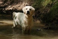 /album/fotogalerie/a068-jpg1/