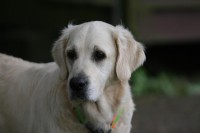 /album/fotogalerie/bibi-roudna-2012-jpg/