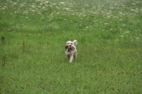 /album/fotogalerie/a38812-1422416893878-7971062-n-jpg1/