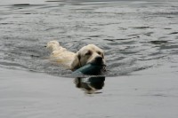 /album/fotogalerie/a39857-1422417093883-698410-n-jpg1/