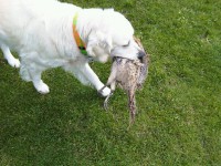 /album/fotogalerie/a314862-3720137415455-1378472553-n-jpg1/