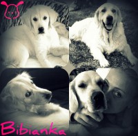 /album/fotogalerie/a336389-174331665983728-922004115-o-jpg1/