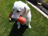 /album/fotogalerie/a487762-3720146215675-381981187-n-jpg1/