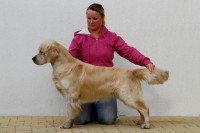 /album/fotogalerie/img-2931-mensi-jpg1/