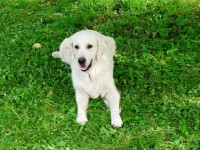 /album/fotogalerie/p1010455-jpg/