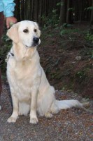 /album/fotogalerie/p5012599-kopie-jpg/