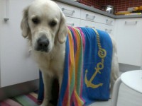 /album/fotogalerie/a278143-4509591811257-1235382338-o-jpg1/