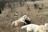 /album/fotogalerie/hratky-jpg/