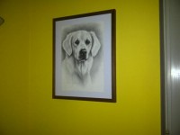 /album/fotogalerie/a263284-4492350280294-686616512-n-jpg/