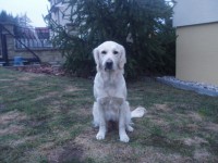 /album/fotogalerie/emma2-3-2013-jpg/