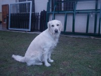 /album/fotogalerie/emma5-3-2013-jpg/