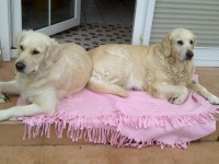 /album/fotogalerie/a943339-10200225382950705-1158496675-n-jpg/