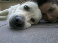 /album/fotogalerie/a8849-10200611150334584-569210657-n-jpg1/