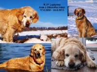 /album/fotogalerie/a1275639-10200397318321107-917082947-o-jpg1/