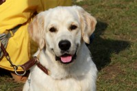 /album/fotogalerie/img-5766-800px-jpg1/