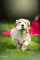 /album/fotogalerie/dsc01368-edit-th-jpg/