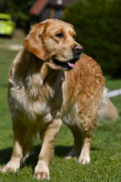 /album/fotogalerie/img-8236-jpeg/